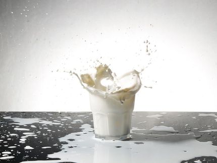 Milchpreise sinken deutlich