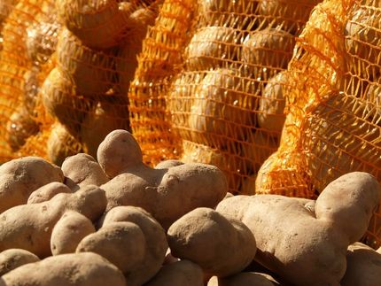 Kartellamt verhängt Millionenbuße gegen Kartoffelverpacker