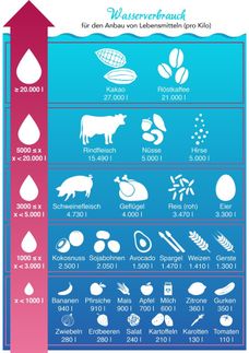 Der Wasserverbrauch für den Anbau der 28 verglichenen Lebensmittel (pro Kilo).