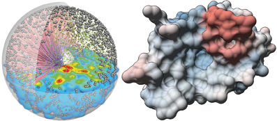 Wissenschaftler visualisieren biochemische Prozesse
