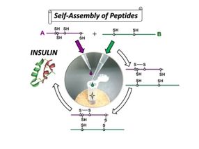 High efficiency synthesis of insulin by self-assembly based organic chemistry