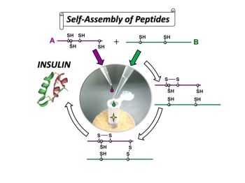 High efficiency synthesis of insulin by self-assembly based organic chemistry