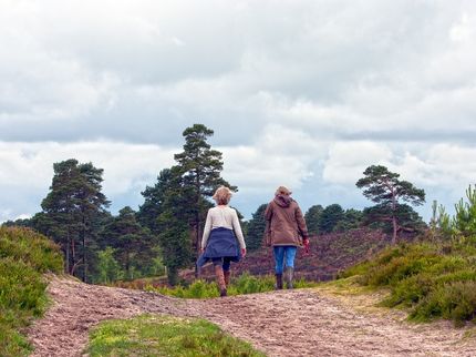 Institut Ranke-Heinemann