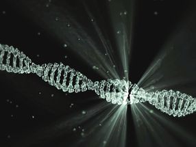 Wie Crispr unsere Welt verändert
