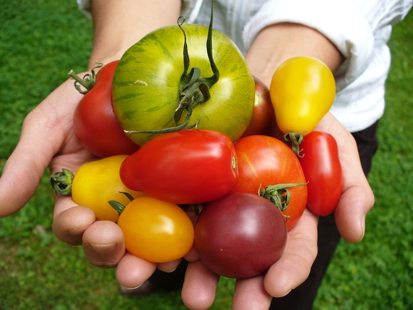 Bundesanstalt für Ernährung und Landwirtschaft