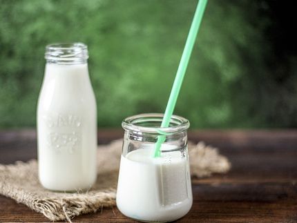 Weltmilchtag: Zwei Drittel der Milchprodukte sind zu süß, um gesund zu sein