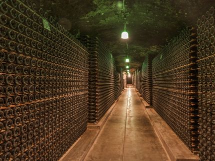 250-year-old French wine sells for 103,700 euros