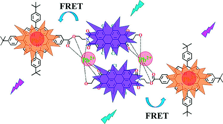 Color Change Unmasks Lead - Triplex-signal chemosensor for naked eye and spectrometric lead detection