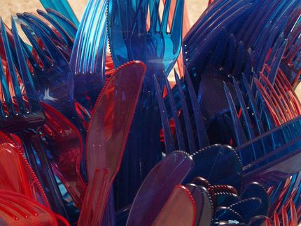 Verbot von Plastikgabeln und Co. soll Milliarden sparen