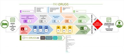 Un nuevo método basado en análisis de datos para personalizar el tratamiento del cáncer