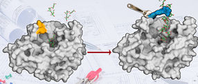 New technology for enzyme design