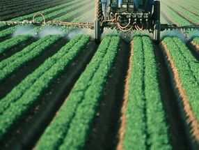 Dünger, Pestizide, Lebensräume: Umwelt-Amt kritisiert Landwirtschaft