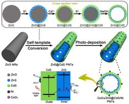 Double-layered porous nanotubes with spatially separated photoredox surfaces