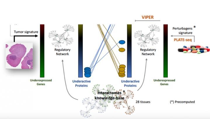 Targeting the engine room of the cancer cell