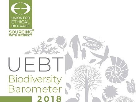 Steigendes Bewusstsein für Biodiversität in Deutschland