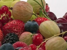 Forscher entdecken neue chemische Verbindungsklasse in Obst und Gemüse