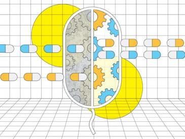 Combining antibiotics changes their effectiveness