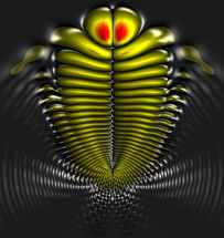 Charge separation in a molecule consisting of two identical atoms