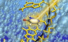 Schutz vor UV-Photoschäden: Eine Frage der Schnelligkeit