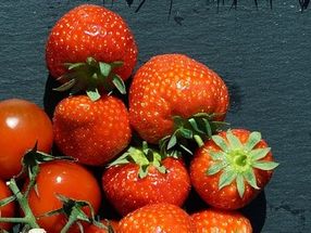 Allergy potential of strawberries and tomatoes depends on the variety