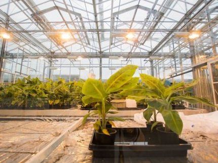 WUR is making use of smart solutions to limit greenhouse gas emissions