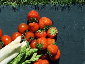 Allergy potential of strawberries and tomatoes depends on the variety