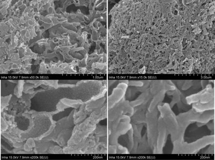 Toxicity of carbon and silicon nanotubes and carbon nanofibers