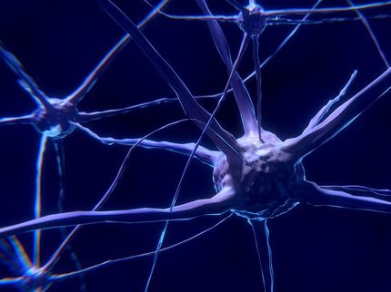 Gestörte Transportwege in Nervenzellen als eine Ursache von Parkinson