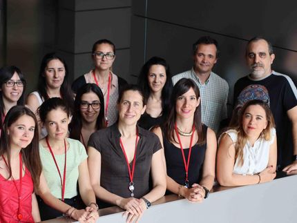P38 alfa: el interruptor para controlar la obesidad y la diabetes