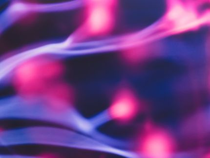 Kaltes Plasma für sichere Lebensmittel