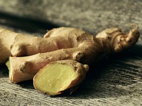 Pungent tasting substance in ginger reduces bad breath