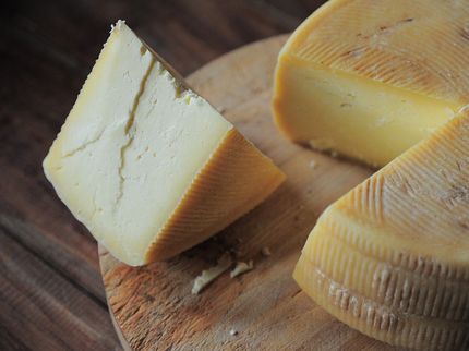 Can flavor boost cheese's profile in Latin America?