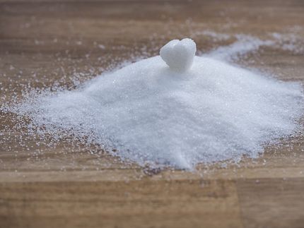 DouxMatok and Südzucker Announce Partnership to Manufacture and Commercialize Breakthrough Sugar Reduction Technology Across Europe