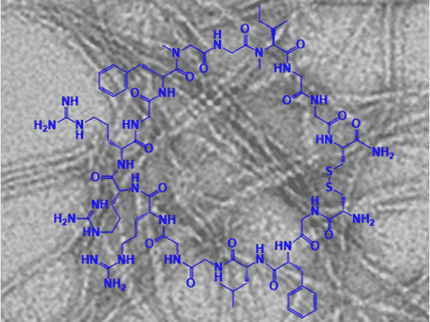 Alzheimer's disease and diabetes: Hope for inhibitors