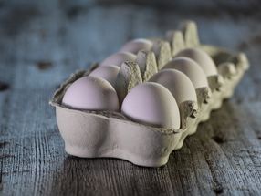 Bioeier wegen Salmonellengefahr zurückgerufen