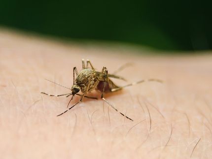 Surge una nueva posibilidad de tratamiento contra la malária
