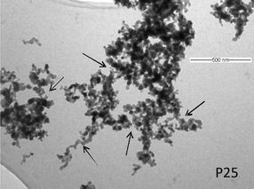 Neue Forschungen zum Verhalten von Nanopartikeln in Gewässern