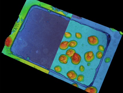 Neue Beschichtung zur Vermeidung von Biofouling an Schiffsrümpfen