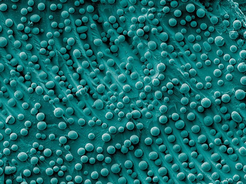 Connecting the (Nano)dots - Big-picture thinking can advance nanoparticle manufacturing