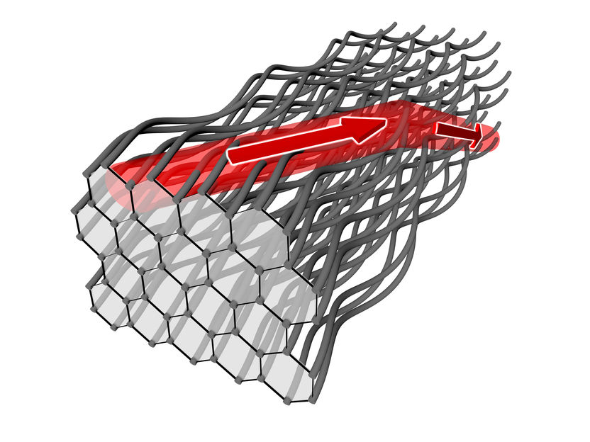 Solving the Puzzle of 2D Disorder, News