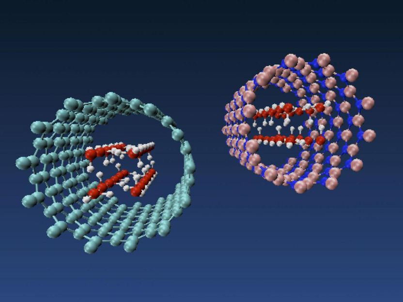 Multiscale Materials Laboratory/Rice University