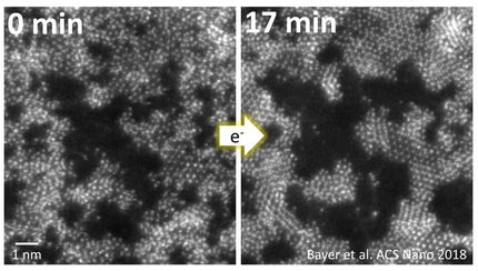 Watching two-dimensional materials grow