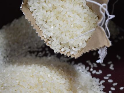 Basmati rice: One in five products is deficient