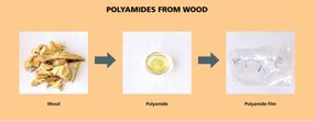 From wood waste to high-performance polymers