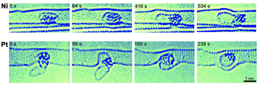 Abbildung: Materialwissenschaftliche Elektronenmikroskopie