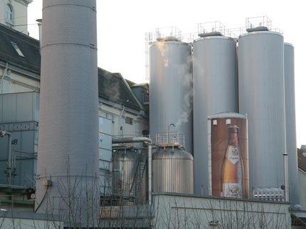 MillerCoors announces restructuring plan and cuts 350 jobs