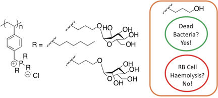 Antibakterielles Polymer - Überraschend hohe und spezifische antibakterielle Wirkung bei einem wasserlöslichen phosphorhaltigen Polymer