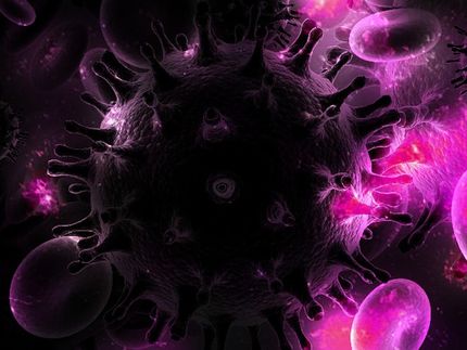Besondere Antikörper weisen den Weg zum HIV-Impfstoff