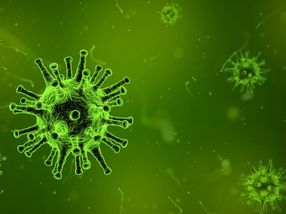 Unterschätzte Gefahr: Grippewellen können gefährlich werden