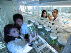 Modern Food Biotechnology: Germany and China Pursue Joint Research Plans